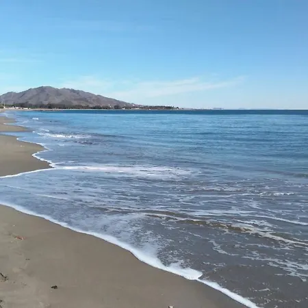 Bahia De Vera Flamingo
